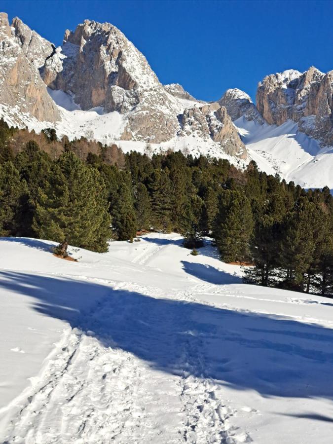 Residence Casa Metz Santa Cristina Val Gardena Eksteriør billede